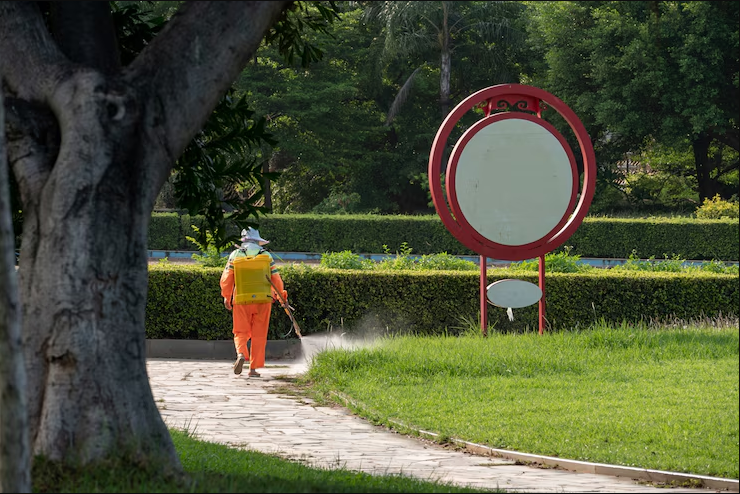 Driveway cleaning