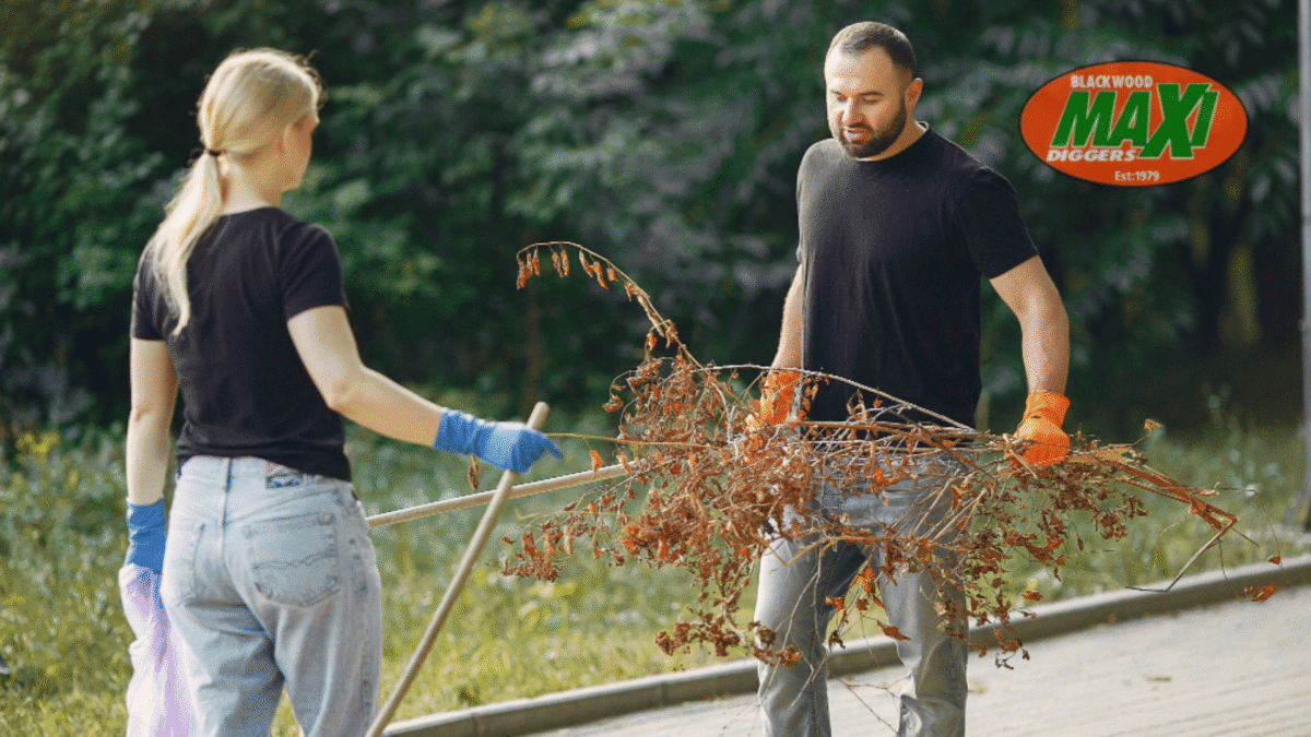 The Complete Guide to Driveway Cleaning in 2025